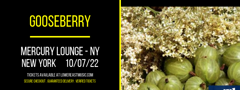 Gooseberry at Mercury Lounge